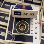 Bạc đạn 6000 RUWH 2RS